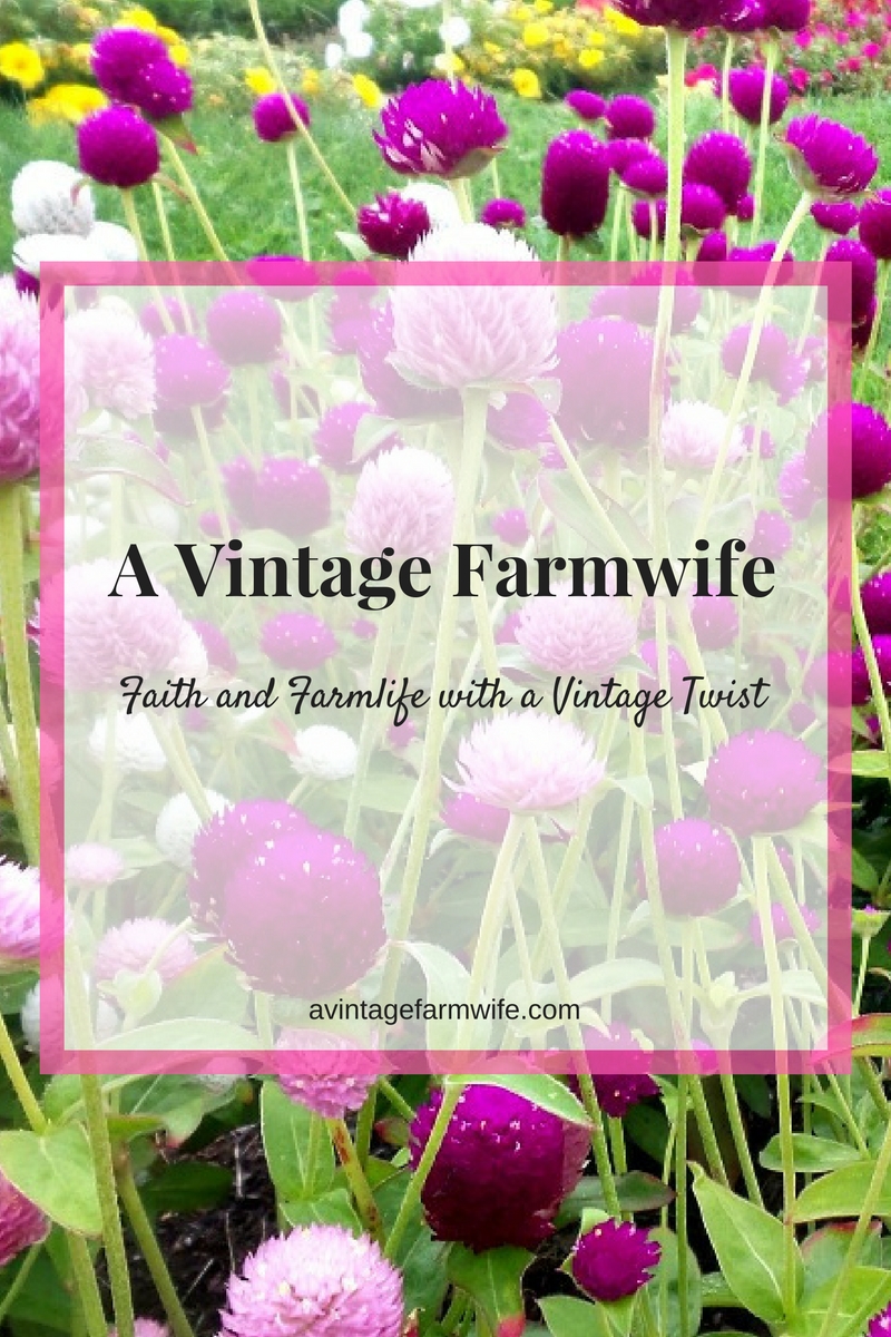 A Vintage Farmwife a faith and lifestyle blog where I share encouragement  and other things I love. - A Vintage Farmwife