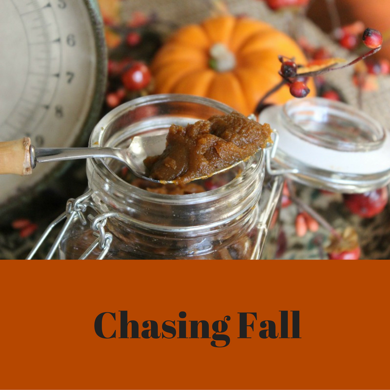 chasing-fall-1