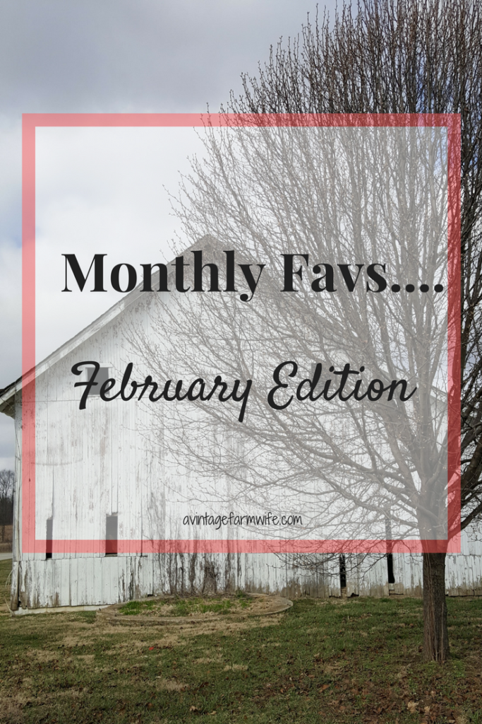 Monthly Favs...February Edition