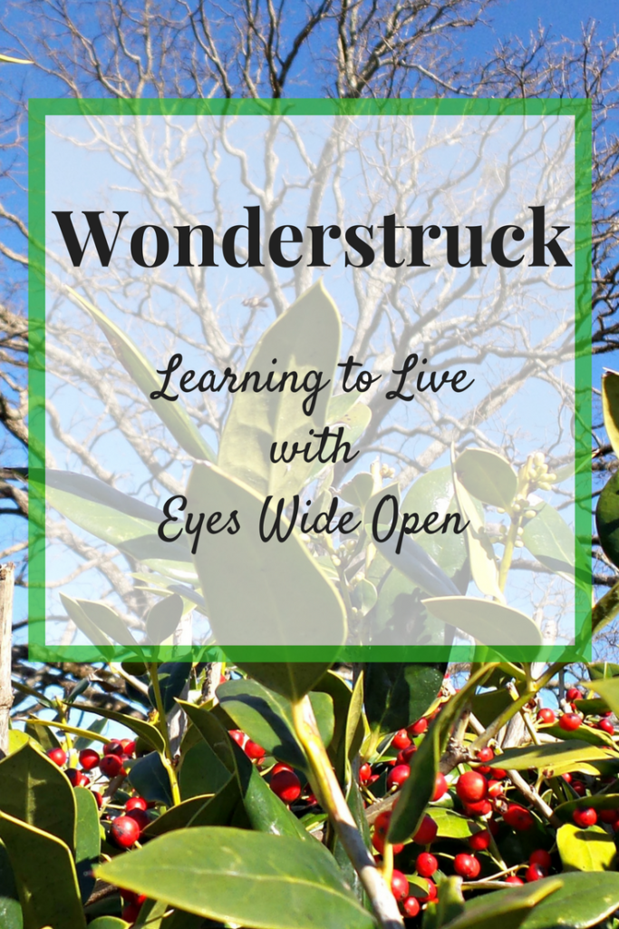 Wonderstruck: Learning to Live with Eyes Wide Open