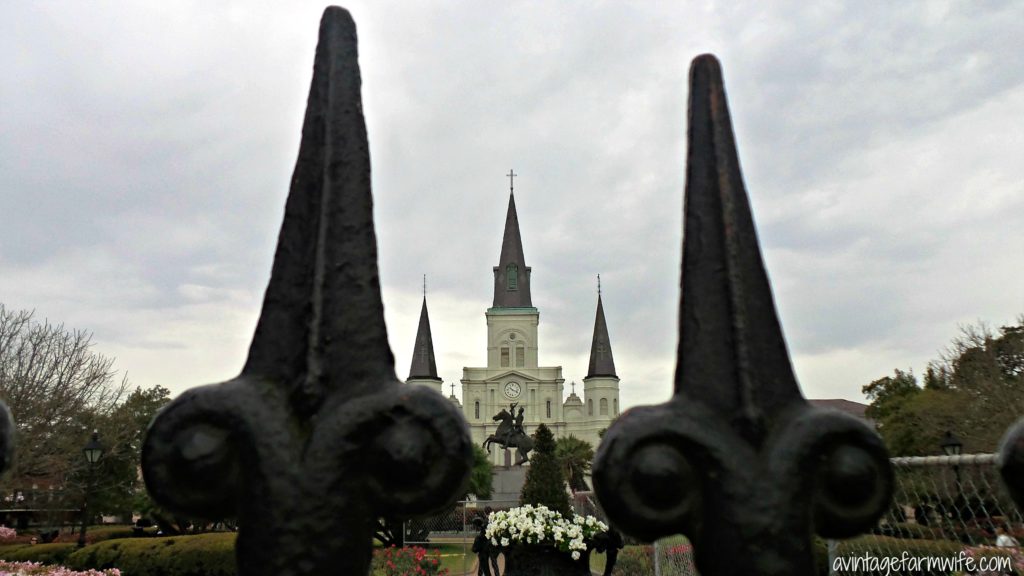st. louis cathedral