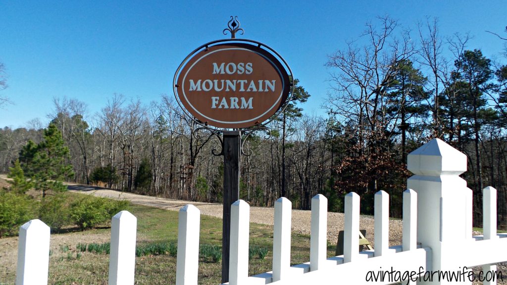 Moss Mountain Farm