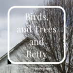 Birds, Trees and Betty
