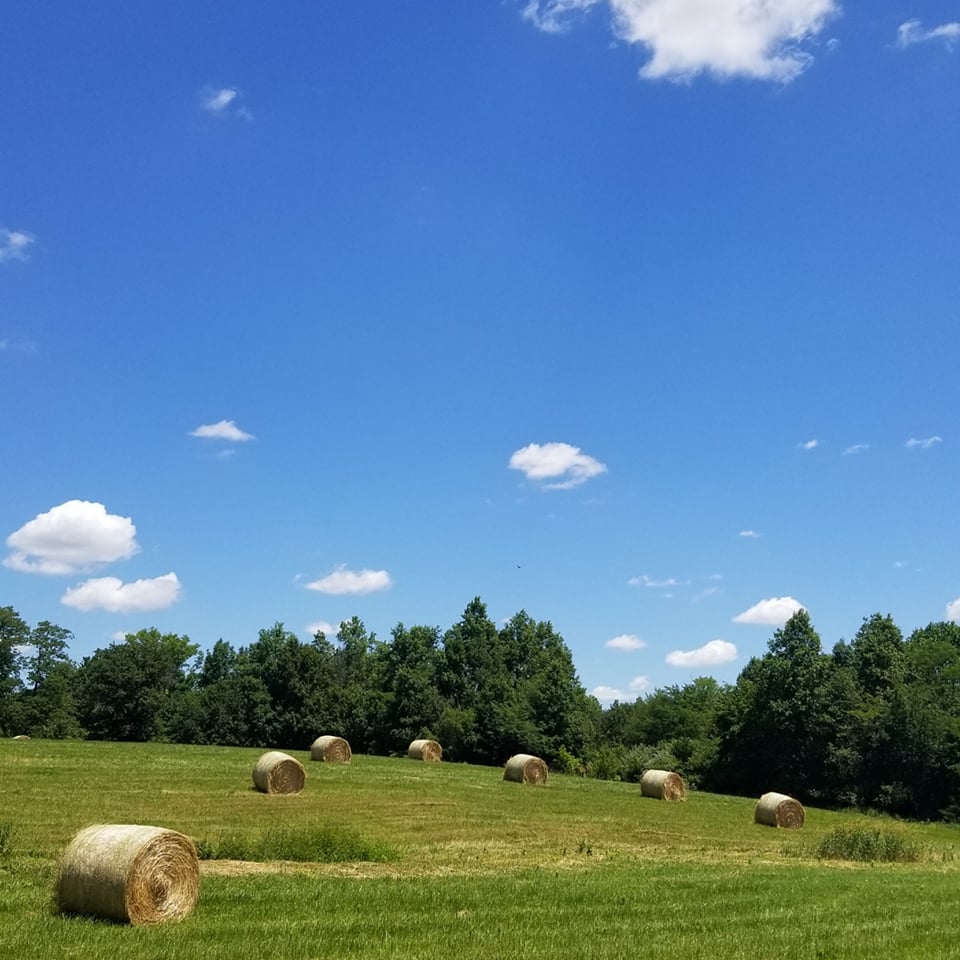 hay bales, country, rural, pasture