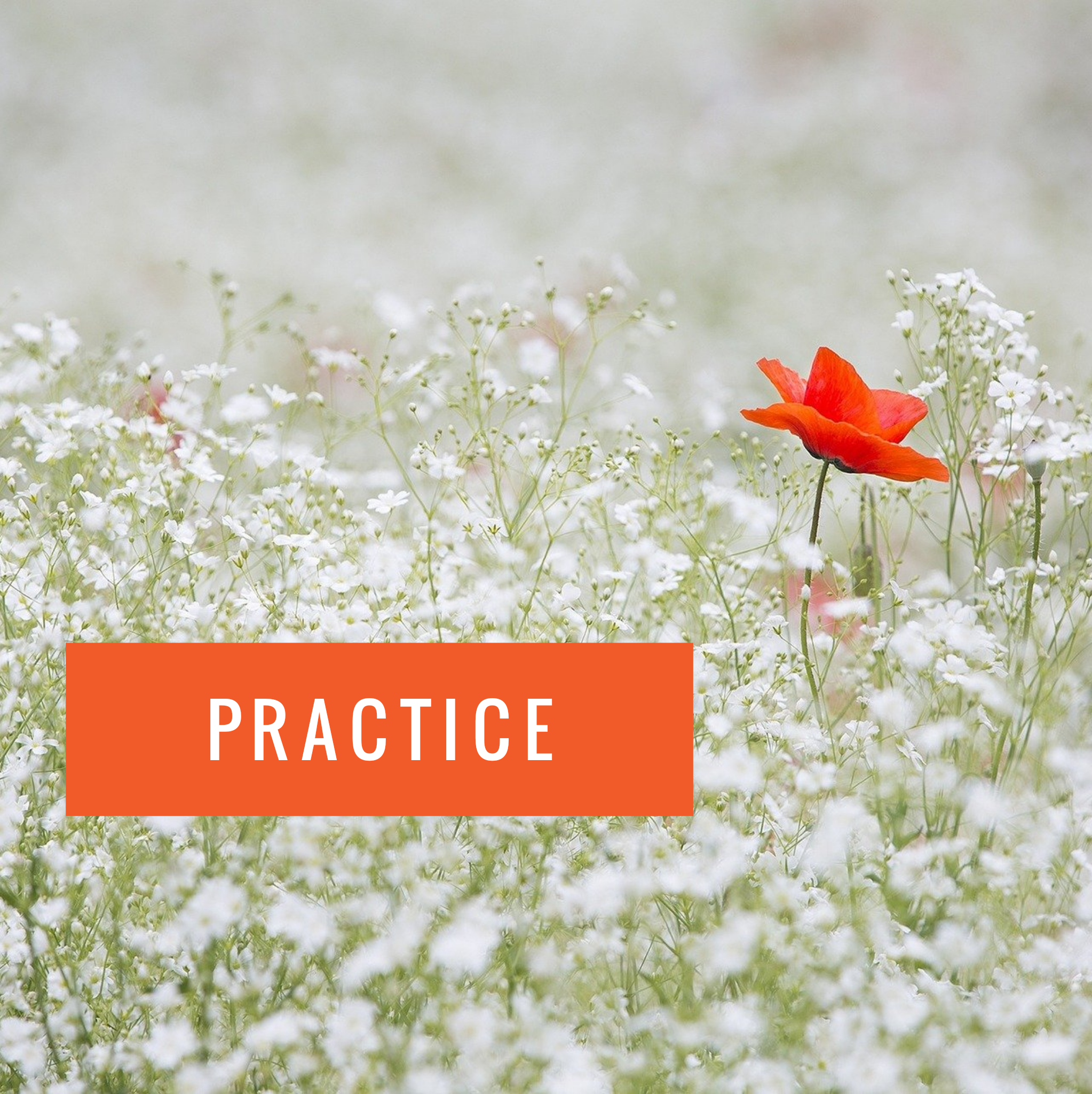 Practice Practuce Practice Practice, Practice, Practice! - A Vintage Farmwife
