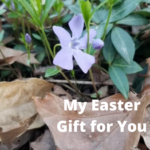 my easter gift for you