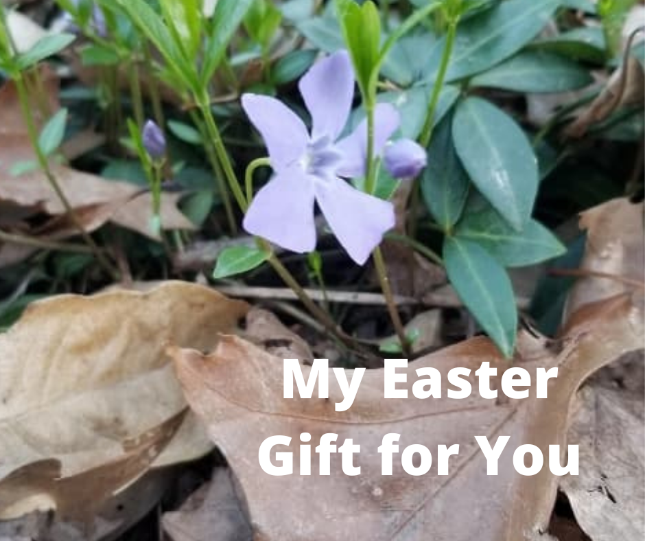 my easter gift for you